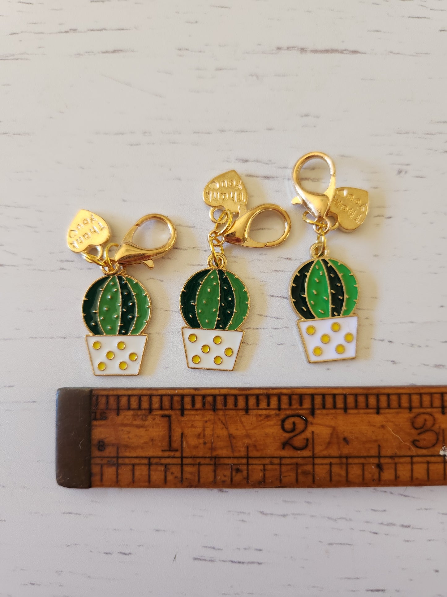 Cute Potted Cactus with Thank you Heart - Zipper Charm