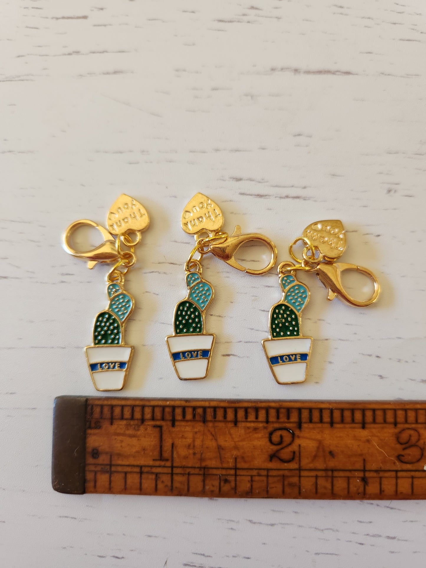 Cute Potted Cactus in a LOVE Pot and Thank you Heart - Zipper Charm