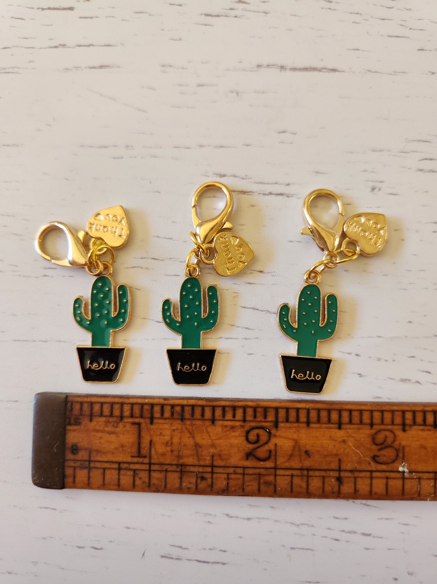 Cute Potted Cactus in a HELLO Pot and Thank you Heart - Zipper Charm