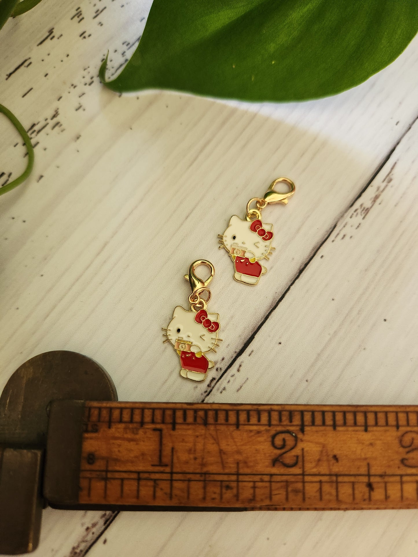 Cute Kitty taking a photo - Zipper Charm