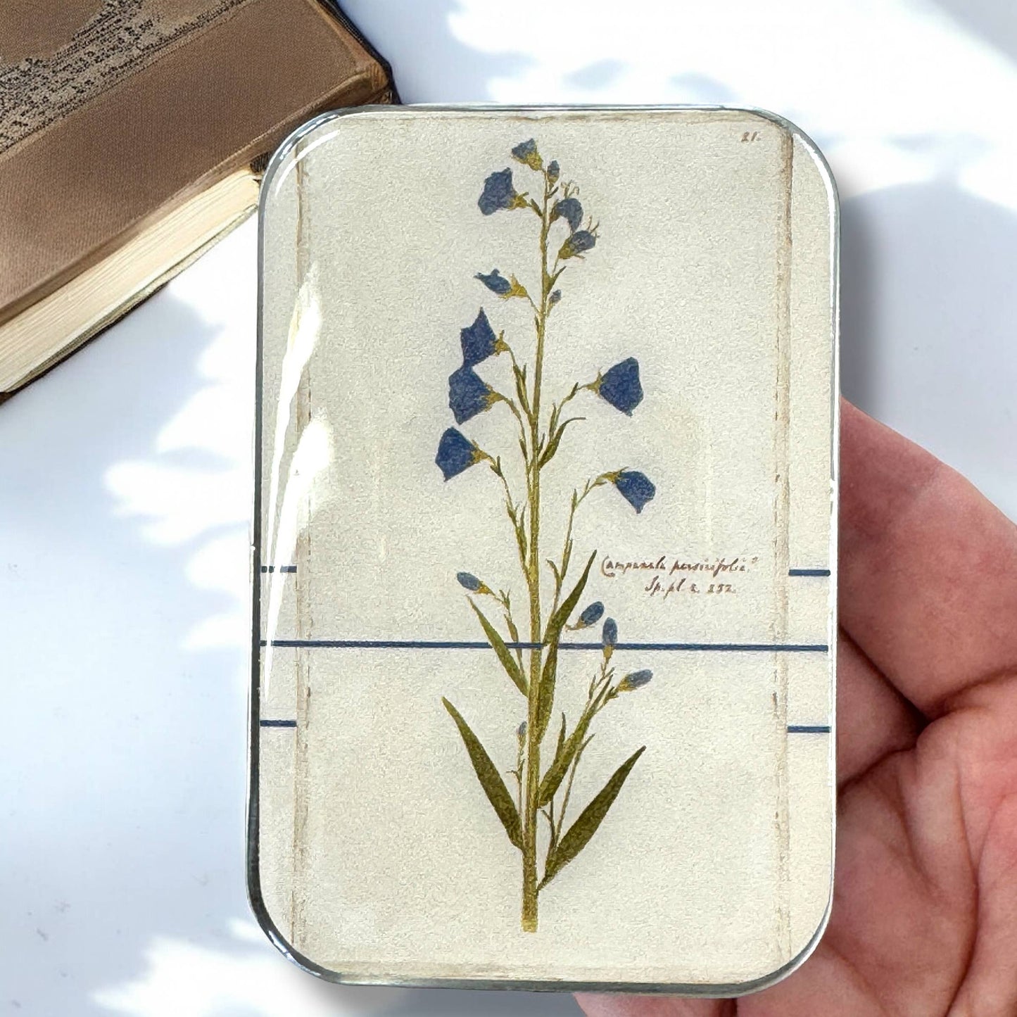 Firefly Notes Tin - Bellflower - LARGE