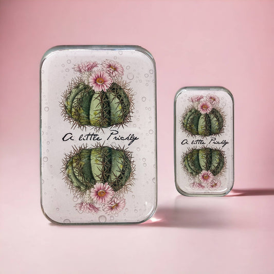 Firefly Notes Tin - 'A Little Prickly' - Cactus tin - Large