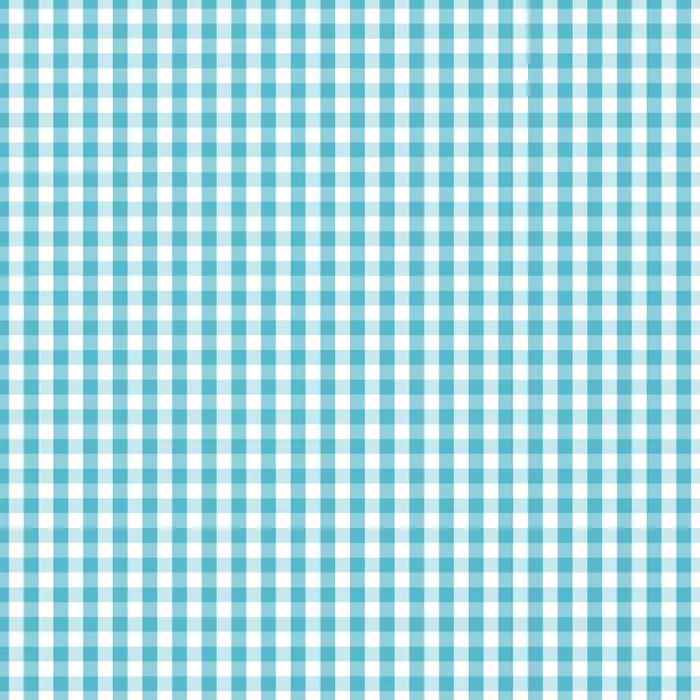 Barrier Blue - 1/4" Check - Devonstone Fundamentals