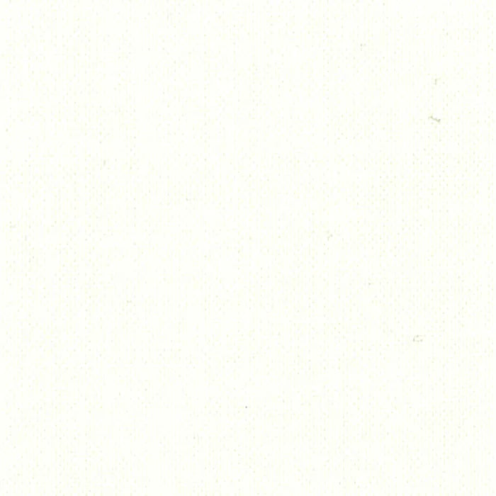 Devonstone Cotton Solid in WHITEHAVEN