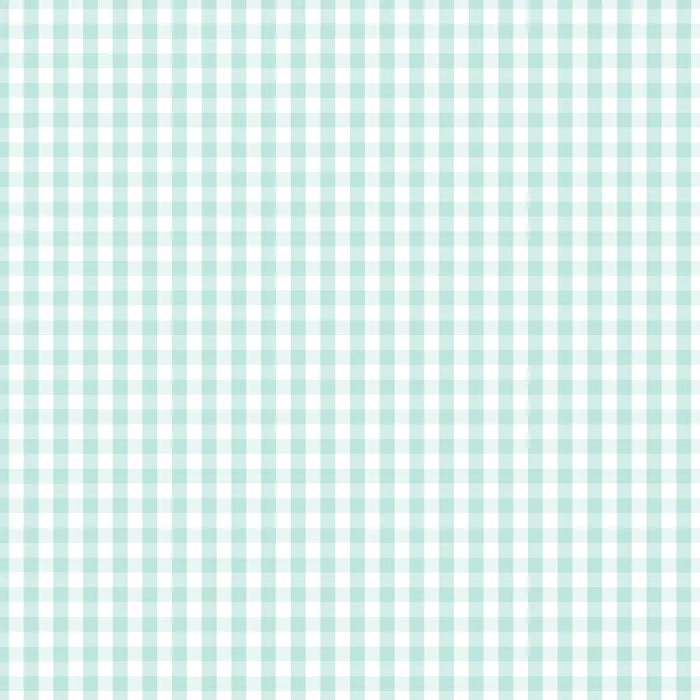 Seafoam- 1/4" Check - Devonstone Fundamentals