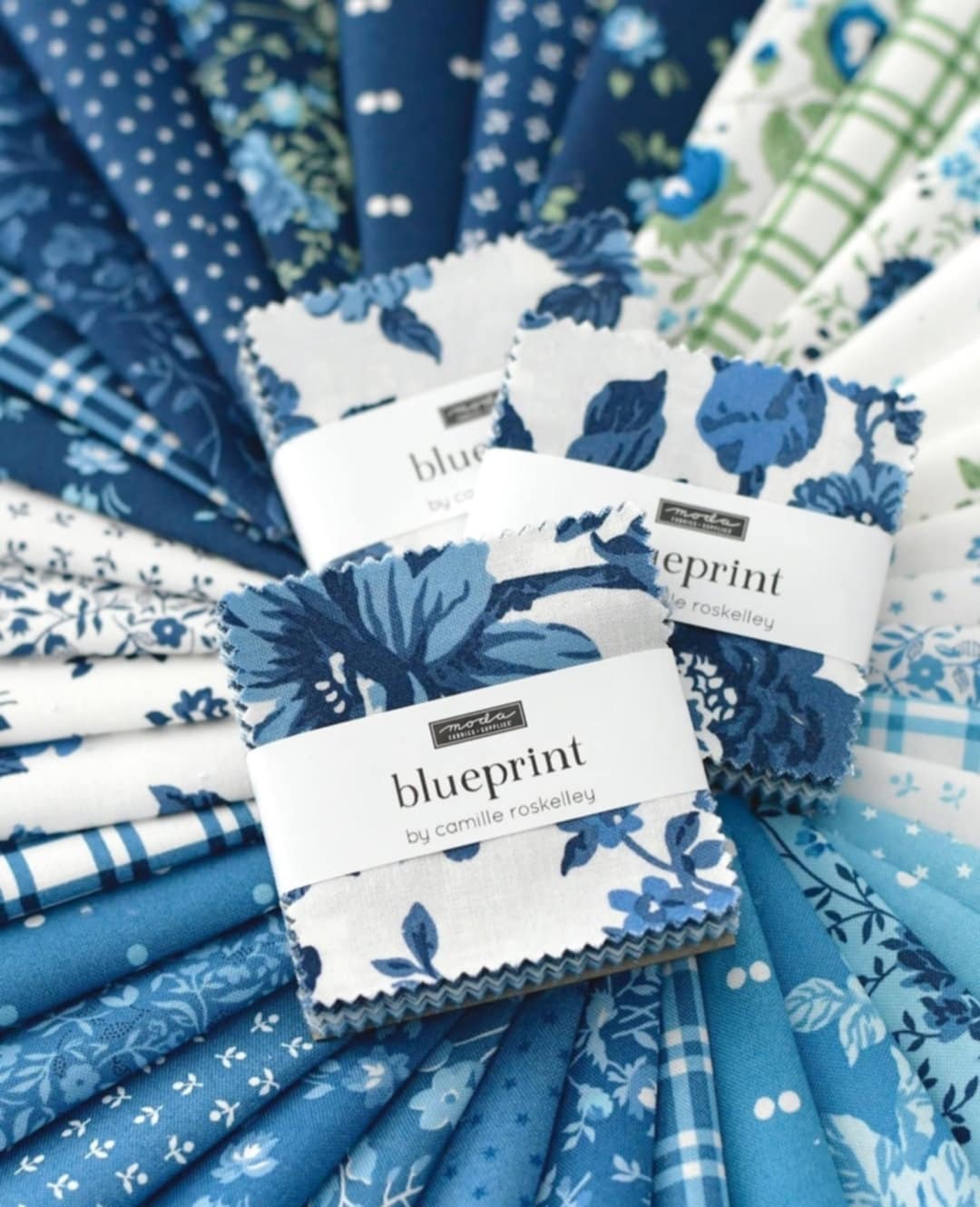 Blueprint by Camille Roskelley ** PRE-ORDER **