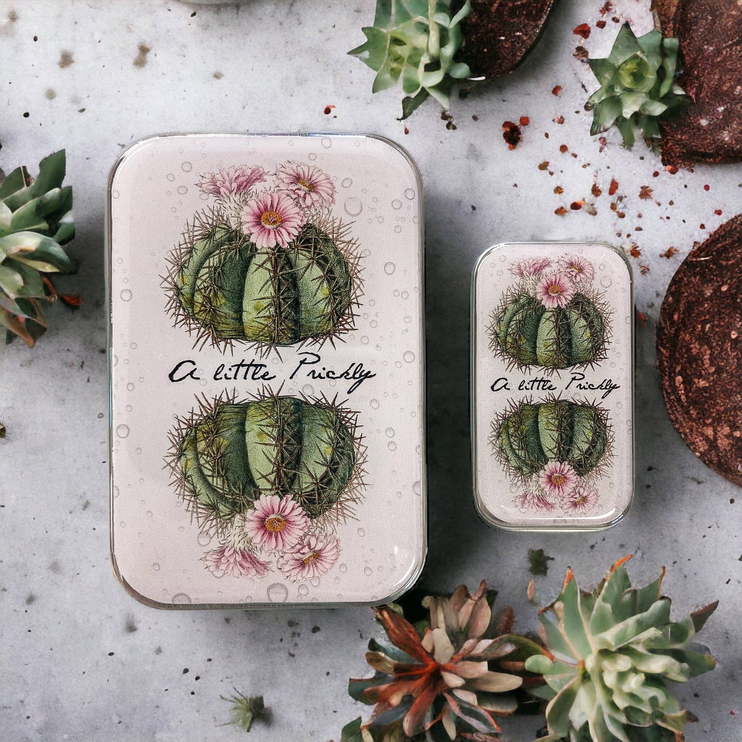 Firefly Notes Tin - 'A Little Prickly' - Cactus tin - Large