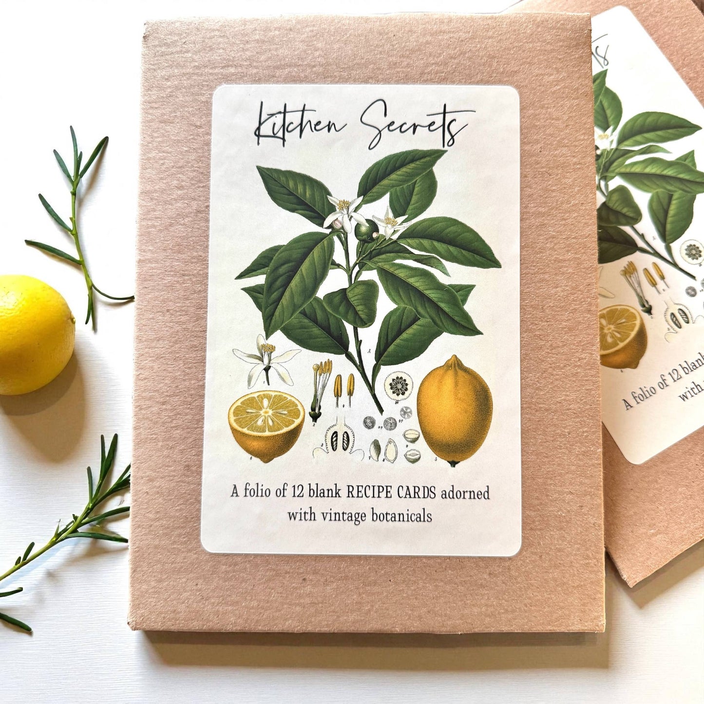 Firefly Notes - Botanical Recipe Card Set - 12 Cards + Banana Bread Recipe