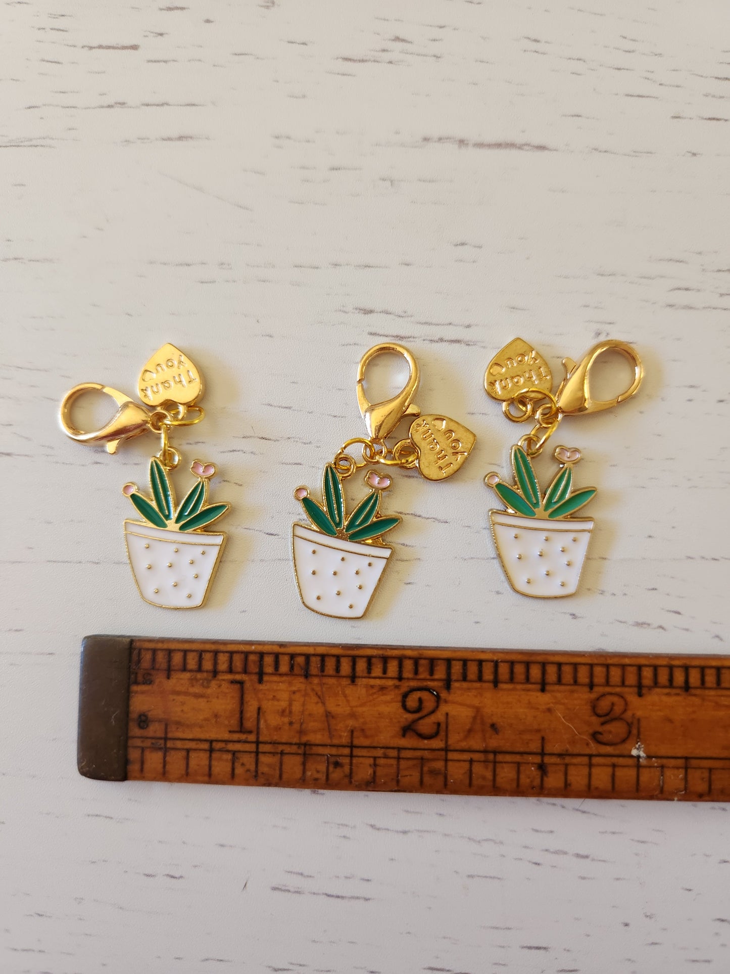 Cute Potted Cactus with Pink Flower and Thank you Heart - Zipper Charm