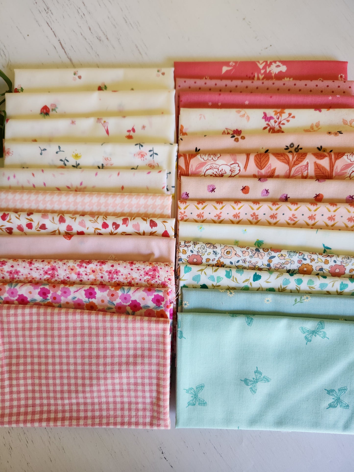 Iced Vovo - Starter/Stash Pack