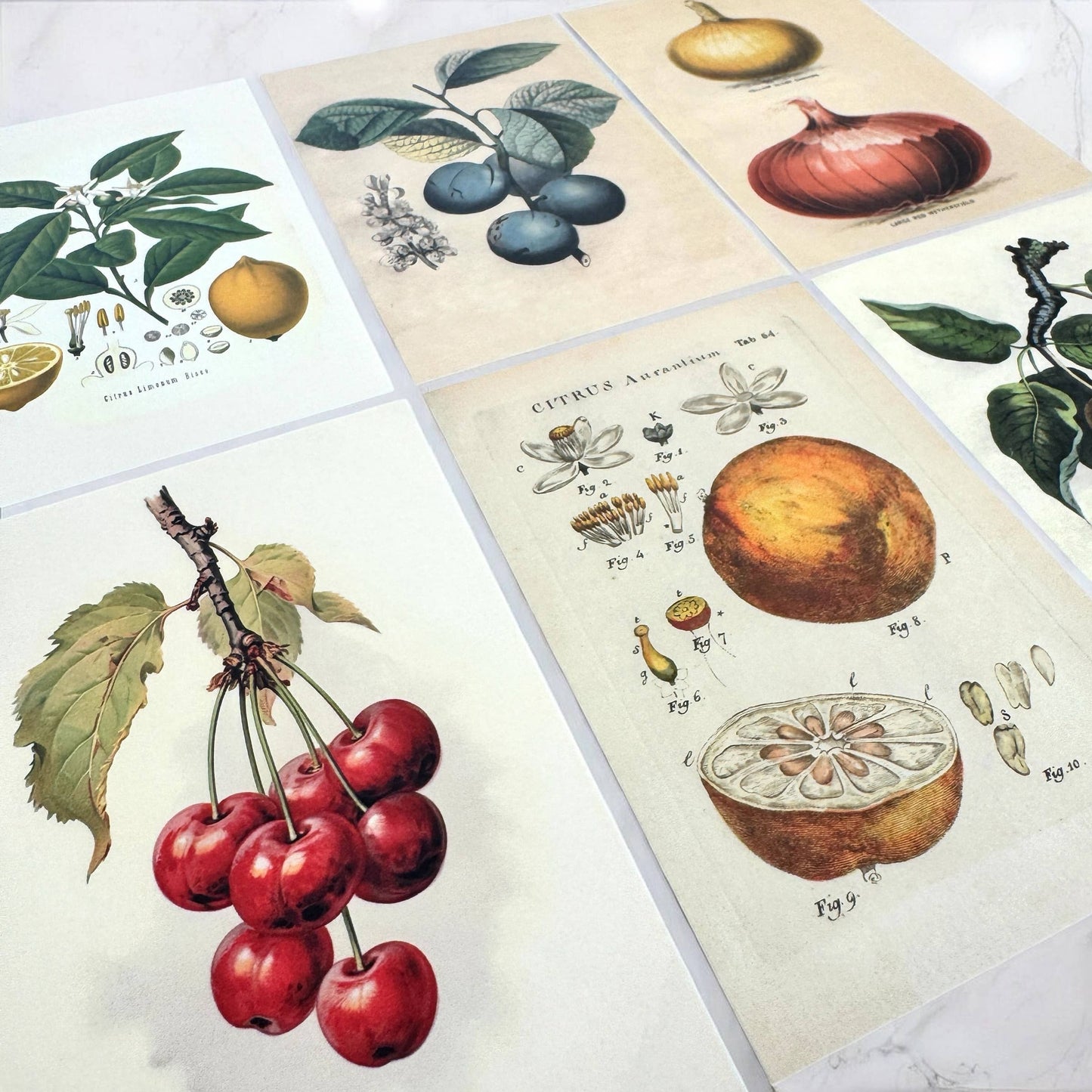 Firefly Notes - Botanical Recipe Card Set - 12 Cards + Banana Bread Recipe