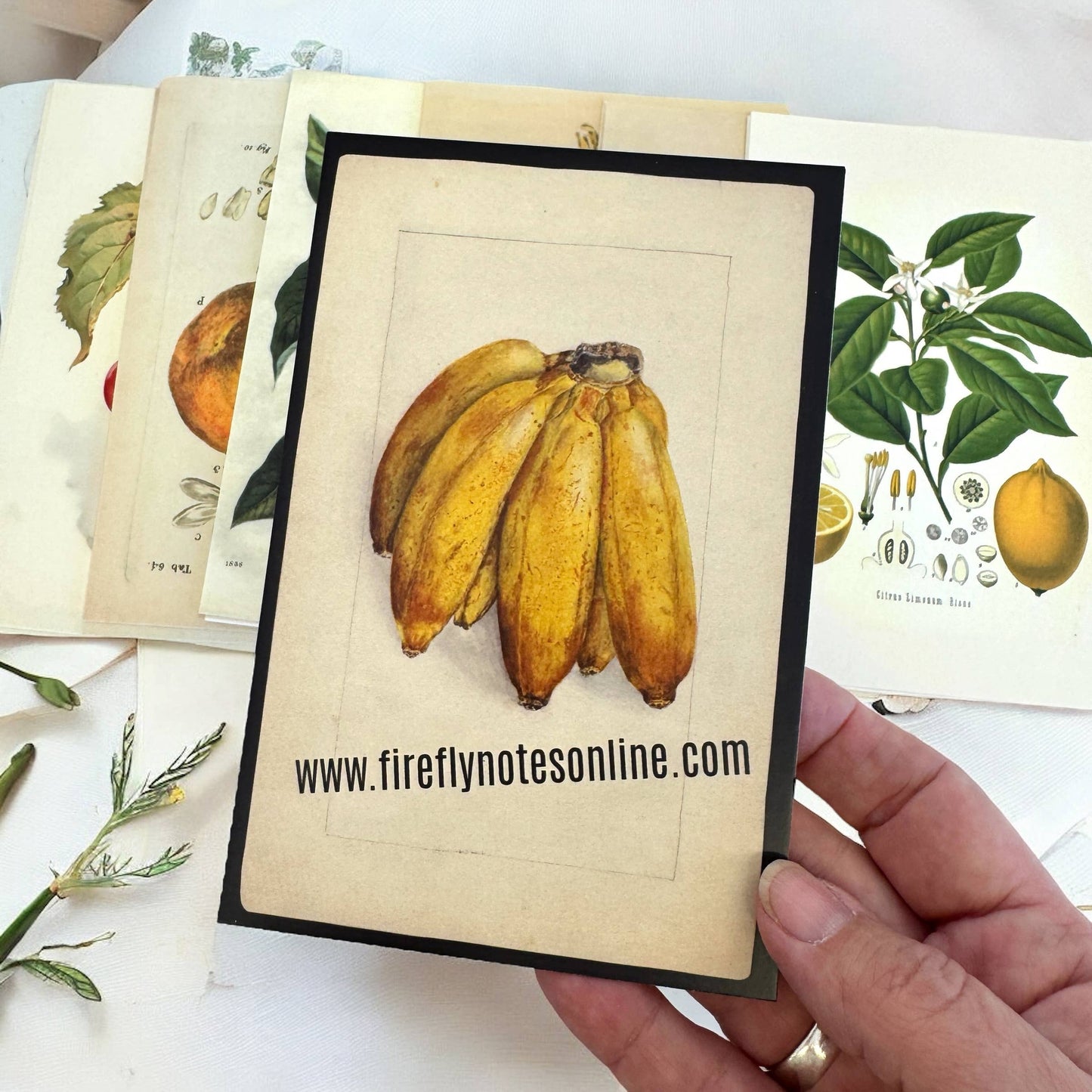 Firefly Notes - Botanical Recipe Card Set - 12 Cards + Banana Bread Recipe