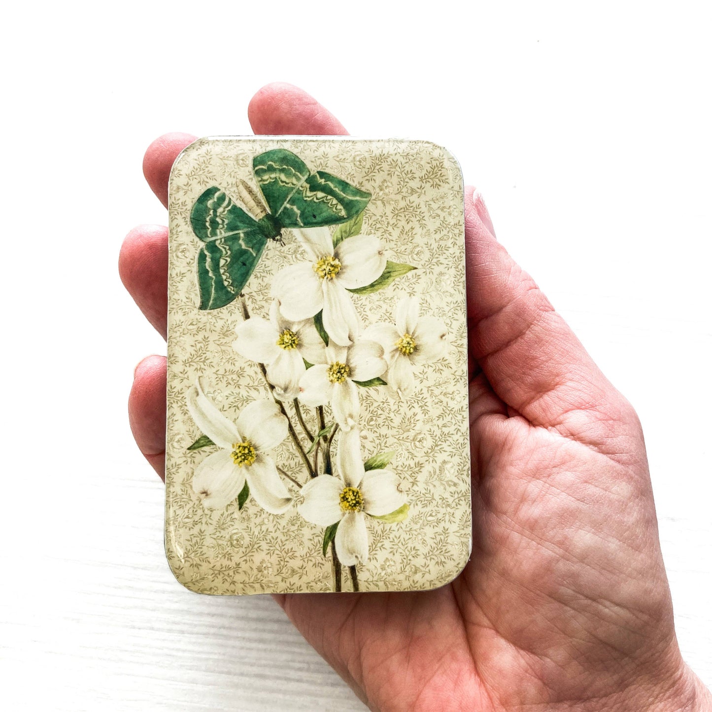 Firefly Notes Tin - Vintage-Inspired Green Moth and Floral design - LARGE