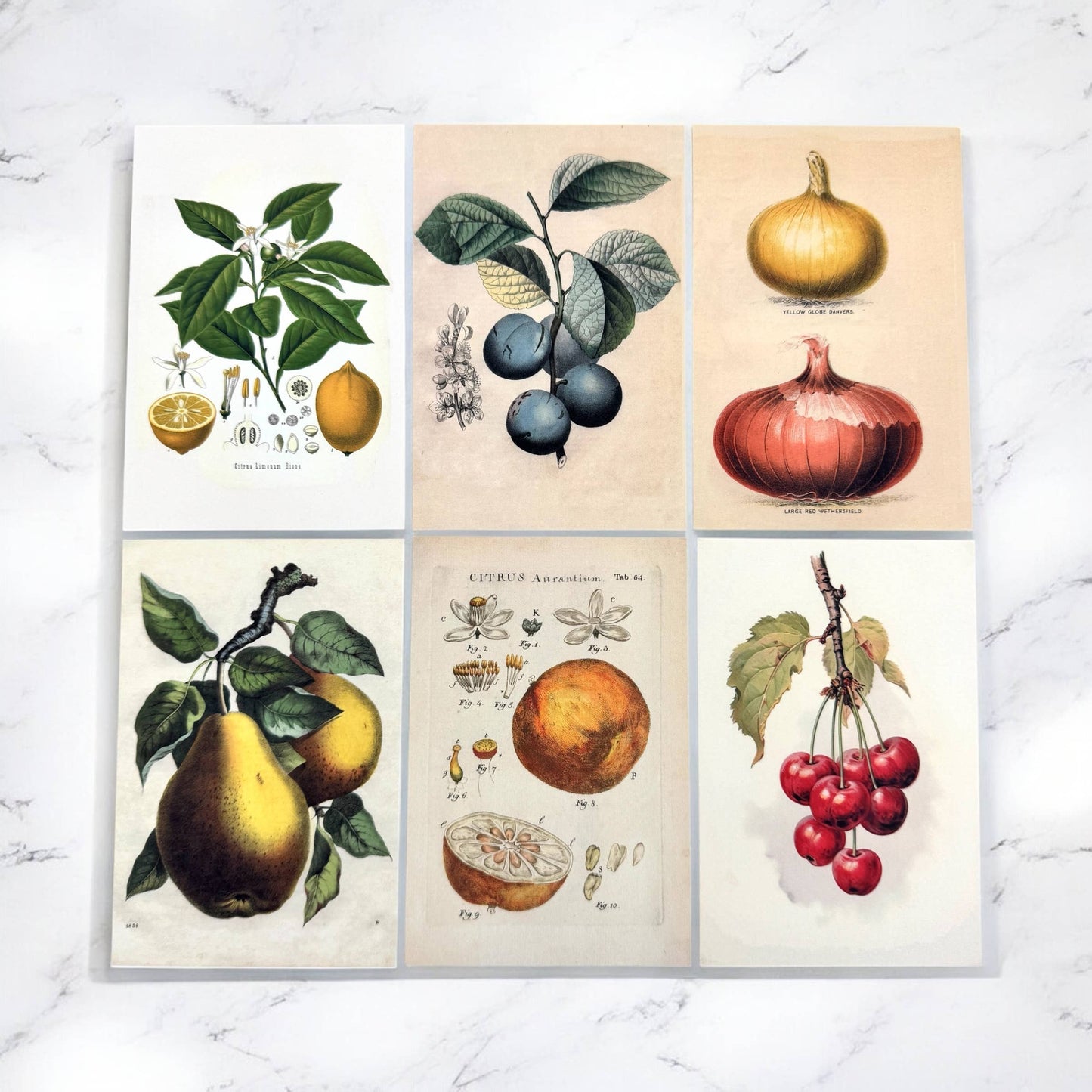 Firefly Notes - Botanical Recipe Card Set - 12 Cards + Banana Bread Recipe