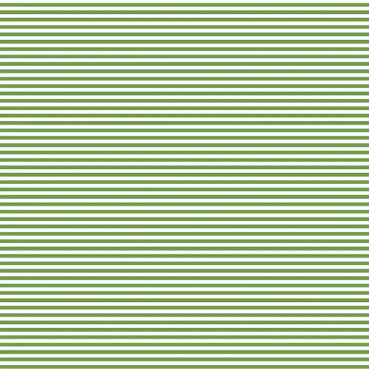 Crocodile - 1/4" Stripe - Devonstone Fundamentals