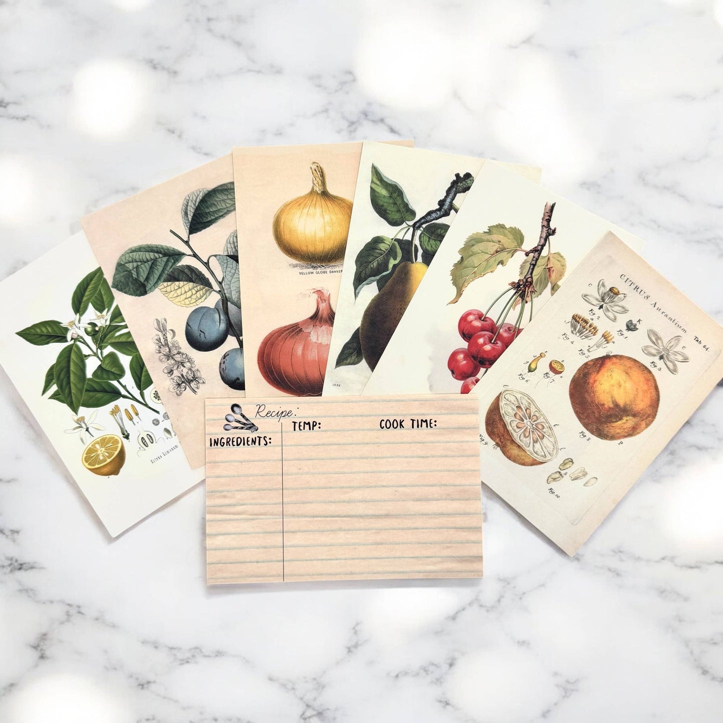 Firefly Notes - Botanical Recipe Card Set - 12 Cards + Banana Bread Recipe