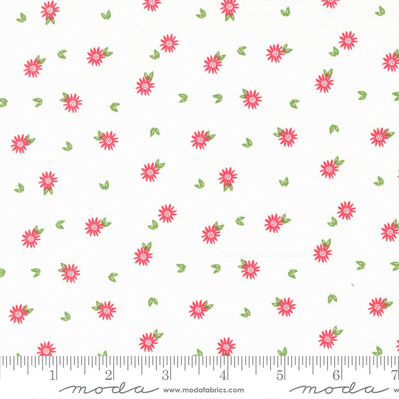 Chamomile Daisy in Snow - Favorite Things by Moda Fabrics