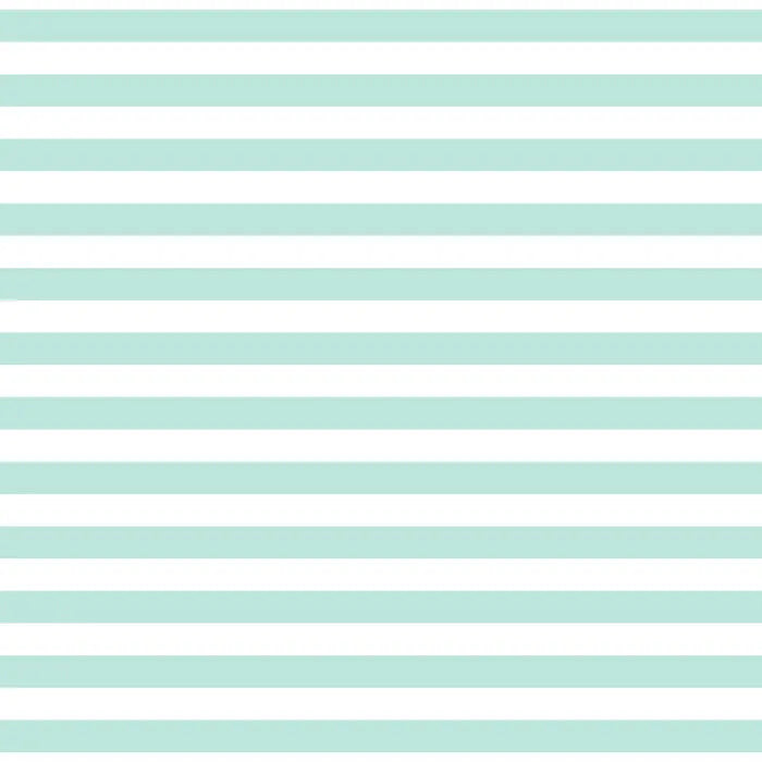 Seafoam- 1/2" Stripe - Devonstone Fundamentals