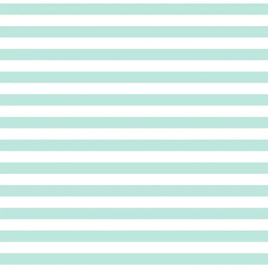 Seafoam- 1/2" Stripe - Devonstone Fundamentals